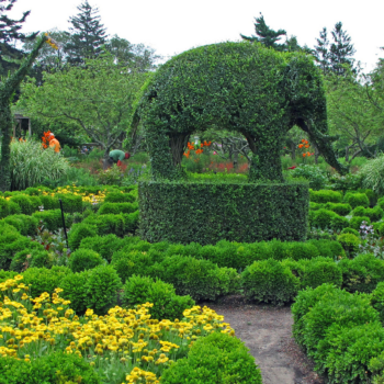 5 topiary trend lessons to take from gorgeous botanical gardens