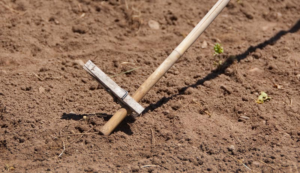 a_diy_farm_tool_for_measuring_seed_planting_depth.png