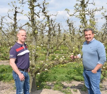 "Belgian growers, traders should stay positive, and try our best to grow and sell tasty, healthy fruit"