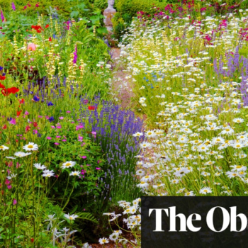 Break the rules and you’ll be a happier grower - The Guardian