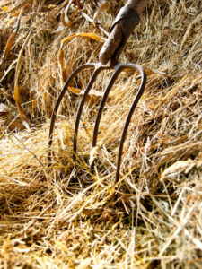 can_you_compost_straw_–_is_it_safe_to_put_straw_in_compost.png