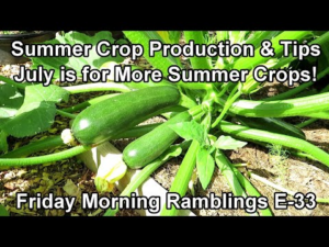 cukes__zukes_are_here_plant_summer_crops_in_july_too__new_projects_my_fm_garden_ramblings_e-33.png