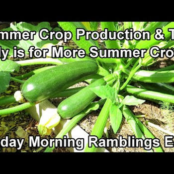 Cukes & Zukes Are Here!, Plant Summer Crops in July Too & New Projects: My FM Garden Ramblings E-33