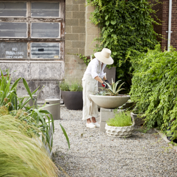 Garden Visit: Mindful Neglect in Lindsey Taylor’s Rambunctious Cinderblock Garden