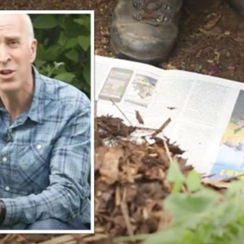 Gardening expert shares ‘newspaper’ hack to ‘suppress and stop weeds’ from growing - Express