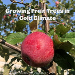 growing_fruit_trees_in_cold_climate_part_1.png