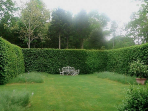 hedge_fun_at_home_with_garden_designer_deborah_nevins.png