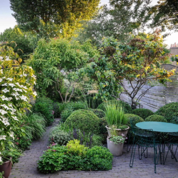 How to create an inner-city minimalist garden