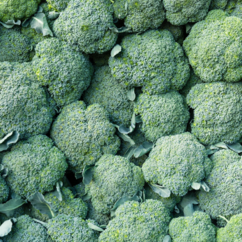 How to grow calabrese: our green broccoli planting guide