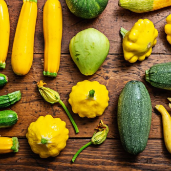 How to use summer squash: A guide to this bountiful, versatile vegetable - The Spokesman-Review