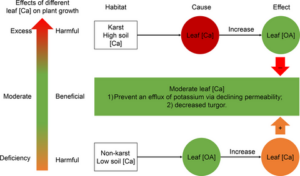 increase_in_leaf_organic_acids_to_enhance_adaptability_of_dominant_plant_species_in_karst_habitats.png