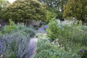 modern_cottage_garden_combining_traditional_planting_with_modern_touches.png