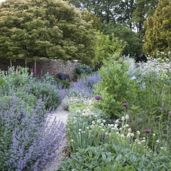 Modern cottage garden: combining traditional planting with modern touches