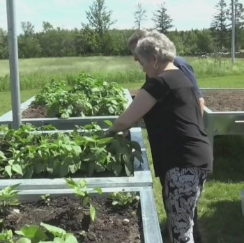 Moncton man comes up with creative gardening solution for ailing wife - CTV News Atlantic