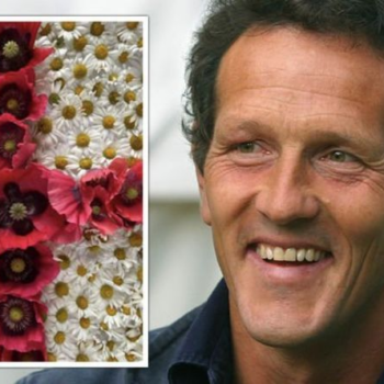 Monty Don: Gardener shares ‘floral good luck’ for England team ahead of Euro 2020 Final - Express