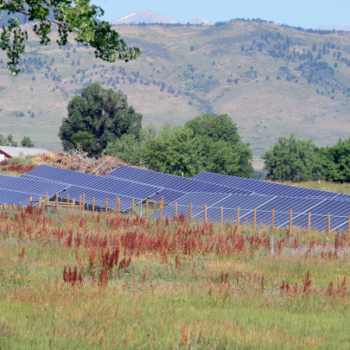 New solar garden providing savings to Ponderosa Mobile Home Park residents - Boulder Daily Camera