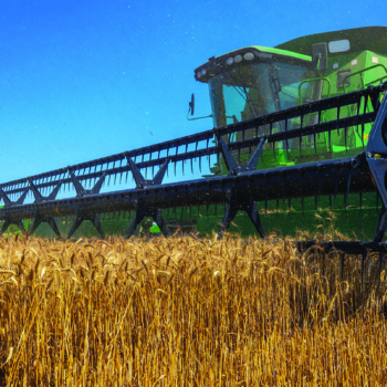 Okla. wheat producers discuss yields, challenges of late harvest