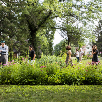 Open Gardens Weekend offers an escape from the bustle of Iowa City - UI The Daily Iowan