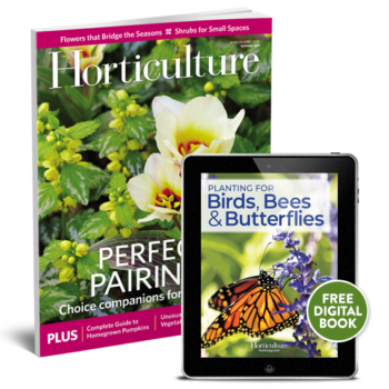 Subscribe Now & Get A Free Butterfly Book!