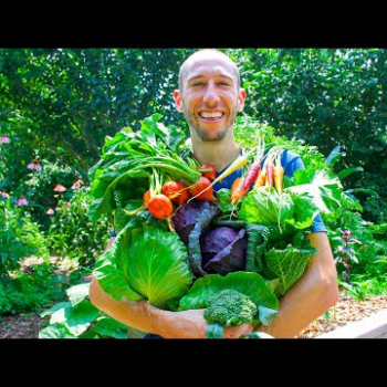 Summer Garden Harvest, Sustainable Permaculture Gardening