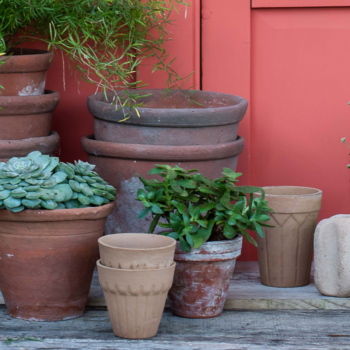 The three paint colors you need to liven up your garden this summer, according to experts