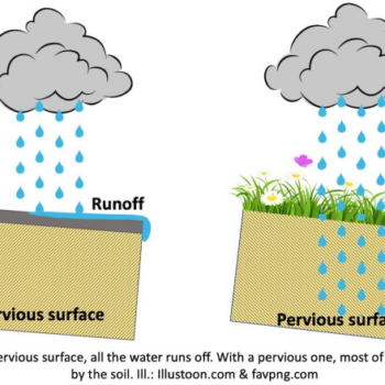 Why and How to Promote Water Infiltration in the Garden?