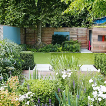 Alan Titchmarsh reveals his small garden design tips for creating the illusion of space