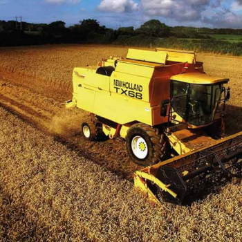Harvest 2021: Fungicide-free wheat hits 10t/ha