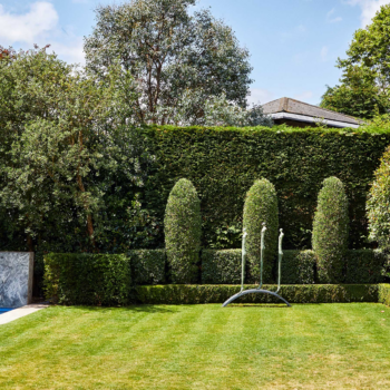 Monty Don's hedge trimming tips for summer: practical advice for your plot