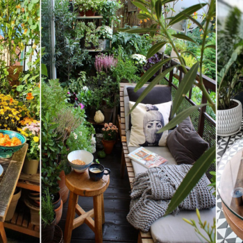 22 Best Balcony Garden Pictures of September 2021 from Instagram