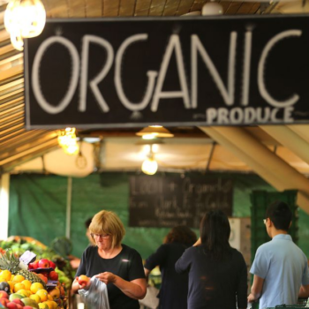 Is organic food worth the hype? 8 shocking truths about your fresh produce     - CNET