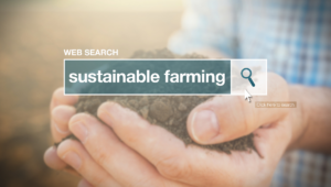 with_care_sustainable_farming_and_food_safety_can_be_a_good_match-1.png