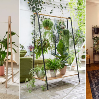25 Cloth Racks Turned into Brilliant Plant Garden Ideas