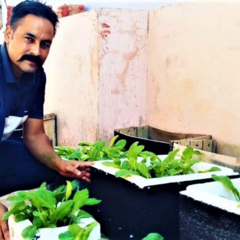 Man Grows 150 + Varieties of Veggies, Fruits & Medicinal Plants in His Terrace - Krishi Jagran