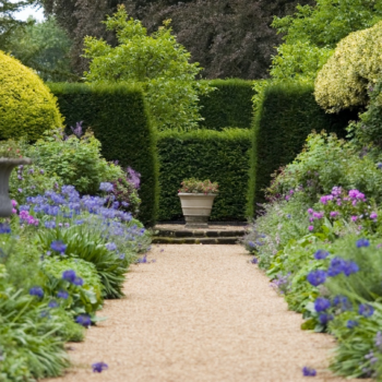 Five classic garden hedges for shelter, privacy and beauty