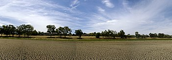 “How dry I am “: Four types of drought and how they can affect gardeners and gardens