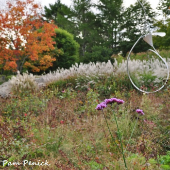 Trolls, grasses, and a storybook children’s garden at Coastal Maine Botanical Gardens
