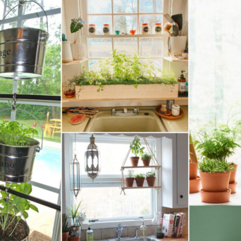 23 Really Clever Window Herb Garden Ideas for City Gardeners