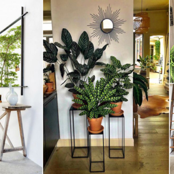 32 Beautiful Entryway Décor Ideas with Plants