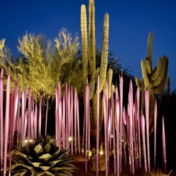 Chihuly Returns to the Desert—and for the First Time at Frank Lloyd Wright’s Iconic Taliesin Home in Arizona