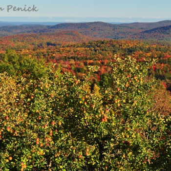 Vermont’s Green Mountains blush orange and red in October
