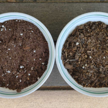Seed Starting Mix Vs Potting Soil: Which To Use