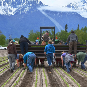 Climate change means Alaska will be able to grow more food—now is the time to start planning
