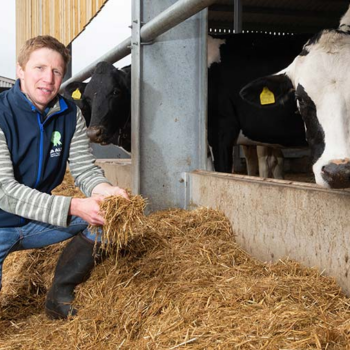 Lucerne cuts farm’s reliance on bought-in protein