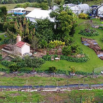 One-Acre Permaculture Garden Feeds 50 Families