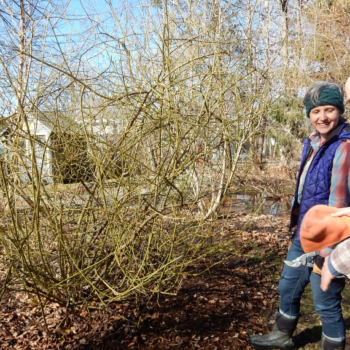 Pruning with with Sara-Evelyn of Broadfork Permaculture