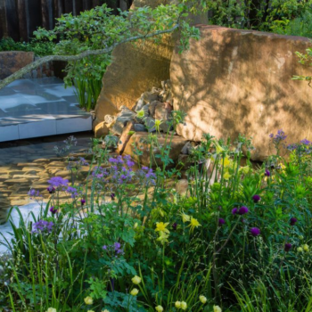 10 rock garden ideas – experts explain how to add a contemporary edge