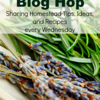Homestead Blog Hop 389 – Homesteading, DIY, Recipes