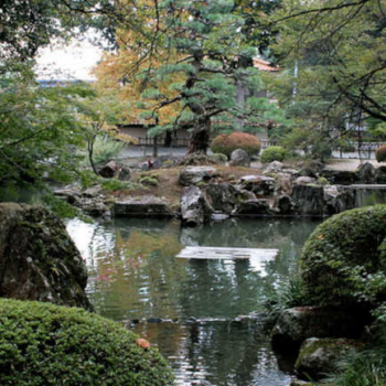 Japanese Zen Garden: Meditative Spaces