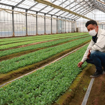 Ukraine crisis exacerbates fertilizer woes for Japan farms